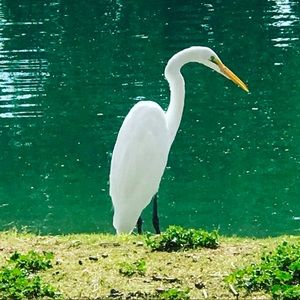 Meet your Posher, Fredrick